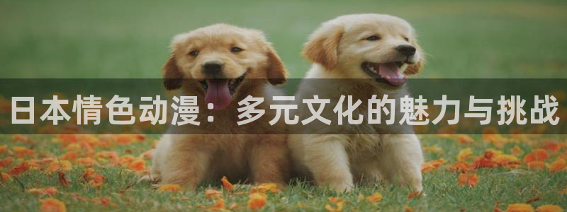 韩漫漫画网页版：日本情色动漫：多元文化的魅力与挑战配图