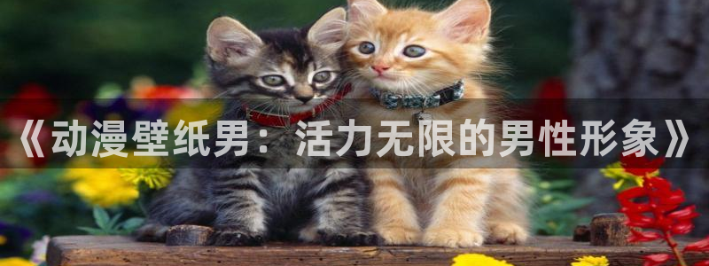 韩漫漫画中文版阅读:《动漫壁纸男:活力无限的男性形象》配图