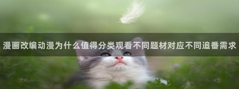 韩漫在线漫画网站：漫画改编动漫为什么值得分类观看不同题材对应不同追番需求配图