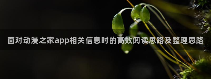 在线韩漫免费阅读:面对动漫之家app相关信息时的高效阅读思路及整理思路配图
